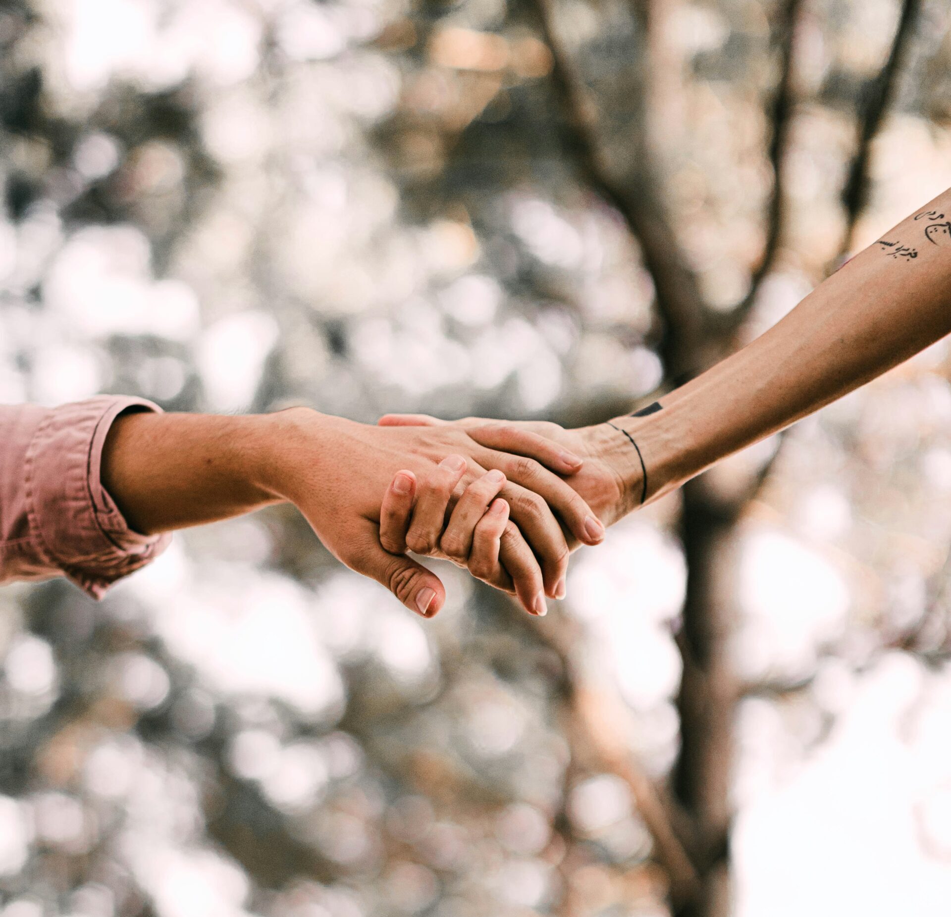 Două persoane se țin de mână undeva în natură.